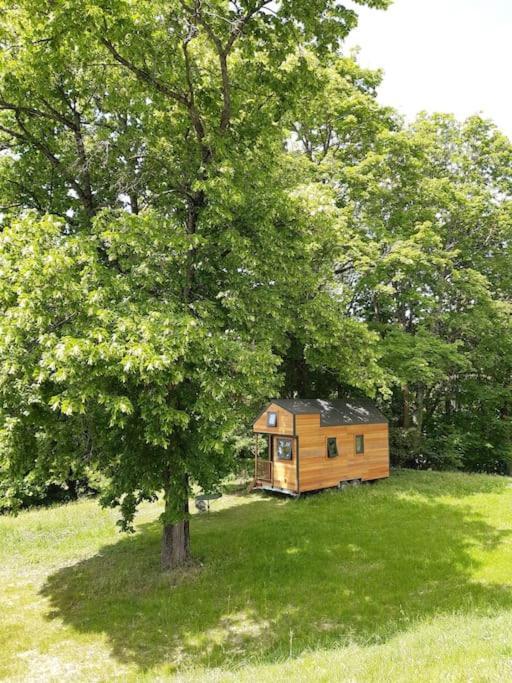 Micro Maison Bois / Tiny House Au Calme Crest Kültér fotó